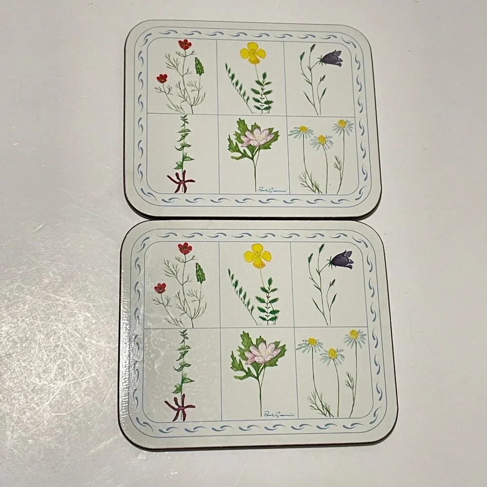 Vintage Jason Drink Coasters Flower Box Cork Backed Rectangle Set 6‎ New Zealand